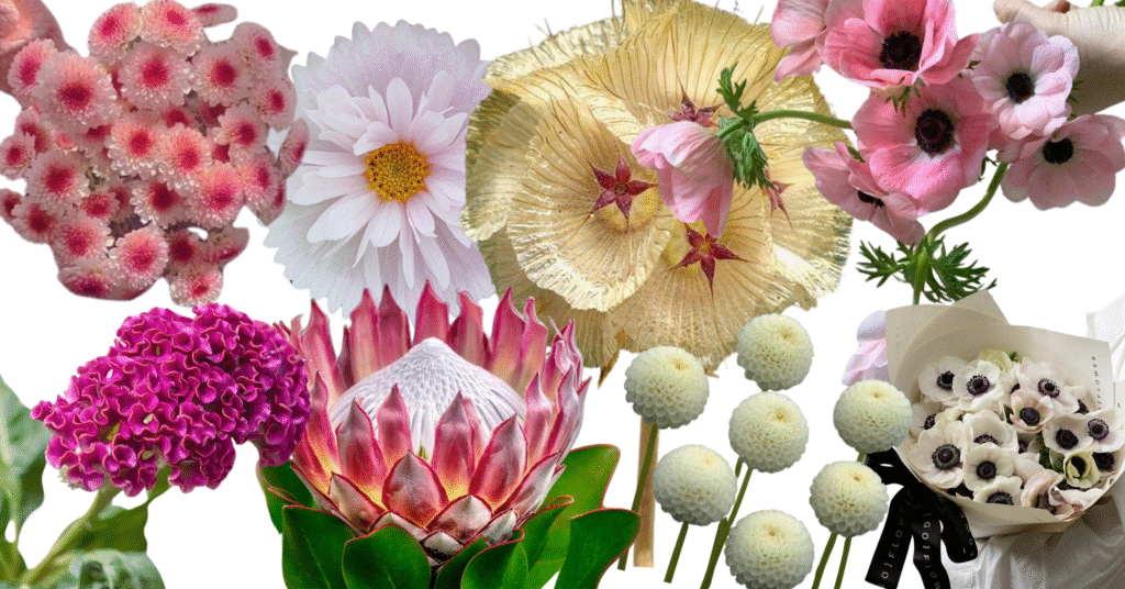 A colorful arrangement of eight unique flowers displayed on a white background